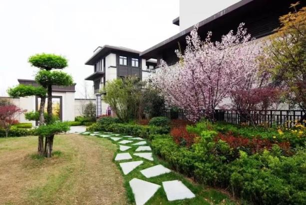 热烈祝贺 洛阳香龙湾项目荣获 “洛阳市卫生居民小区”、“市级健康村”称号